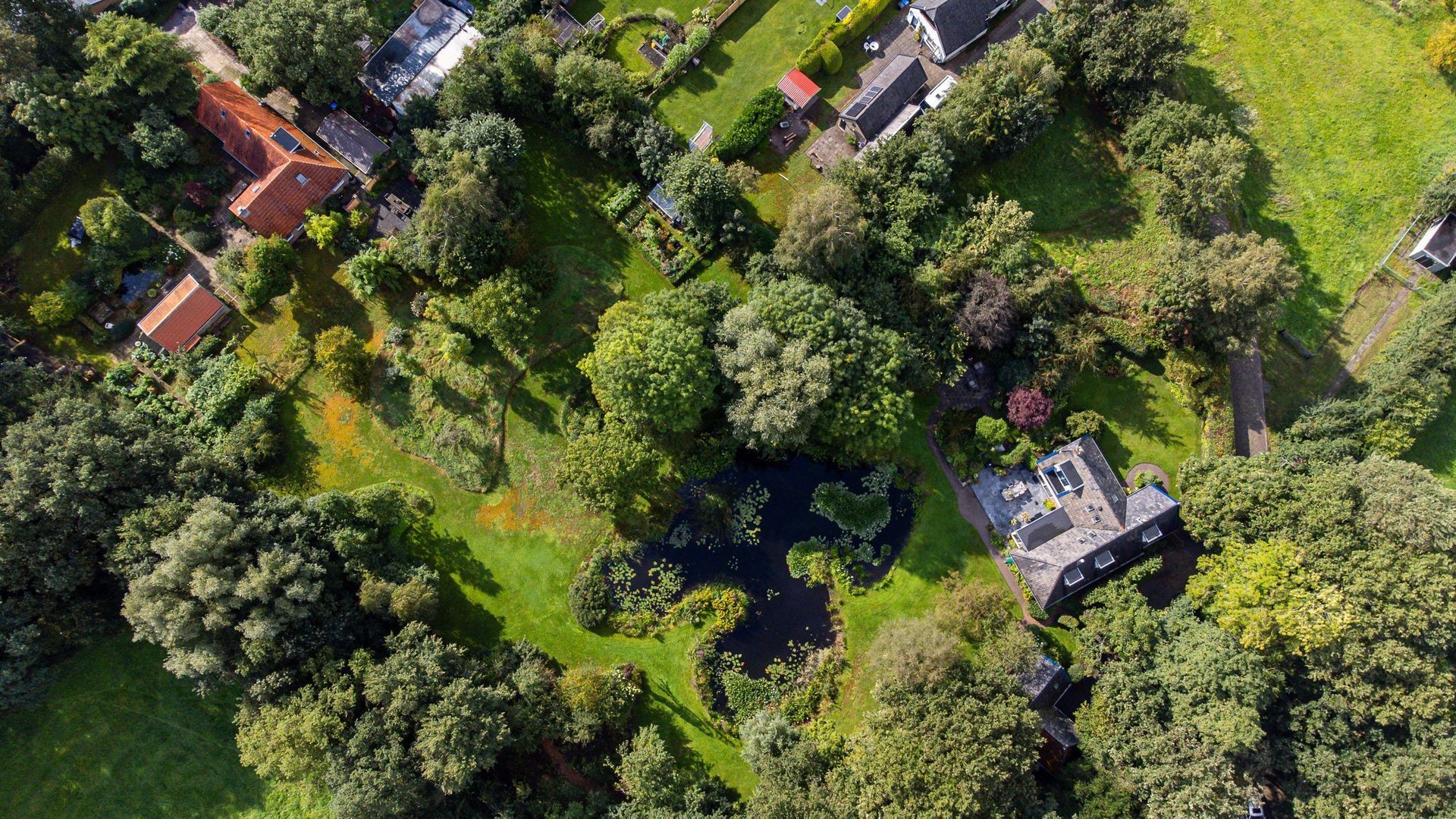 Schuinpad 38, Oldeberkoop foto-88