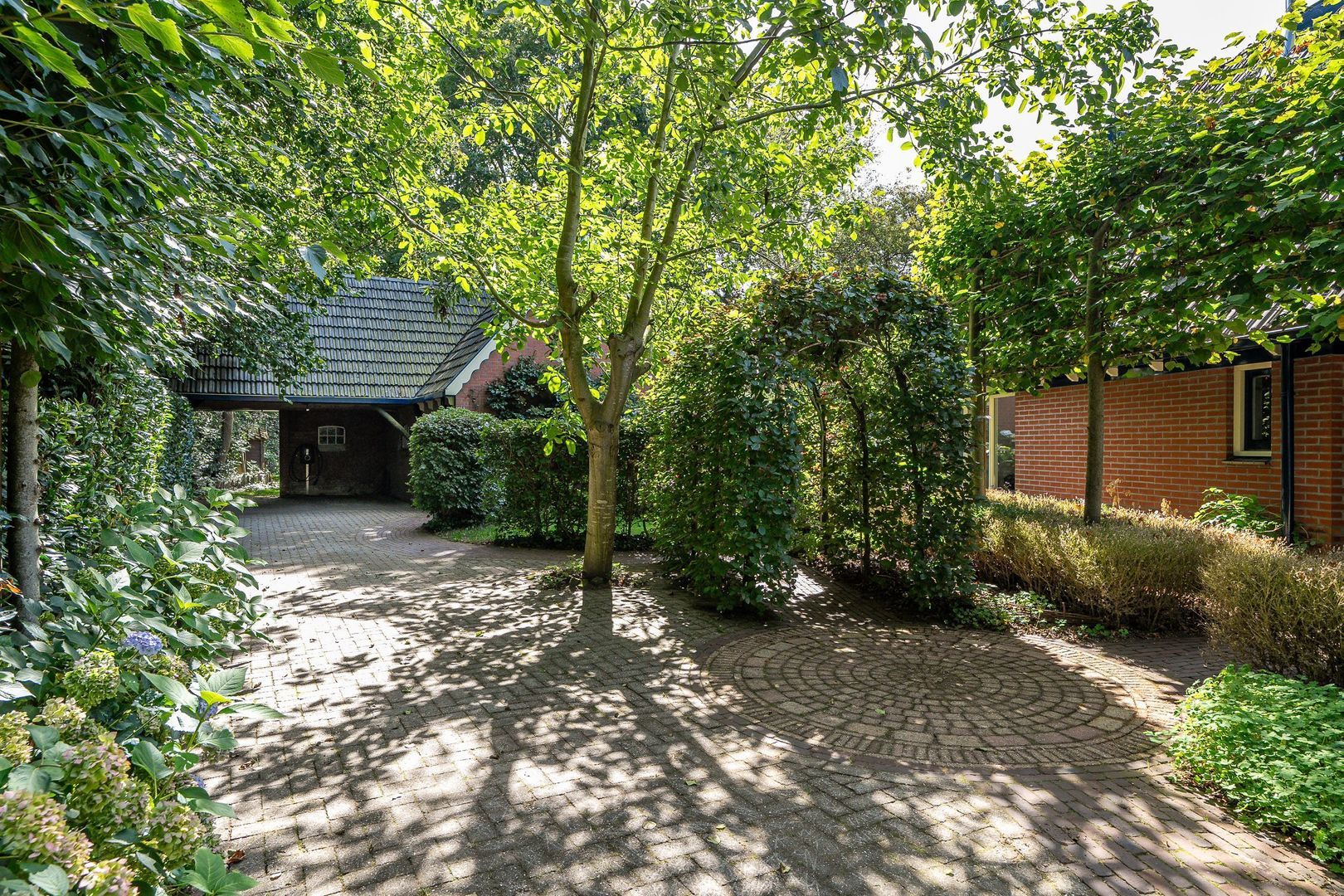 Schuinpad 38, Oldeberkoop foto-3