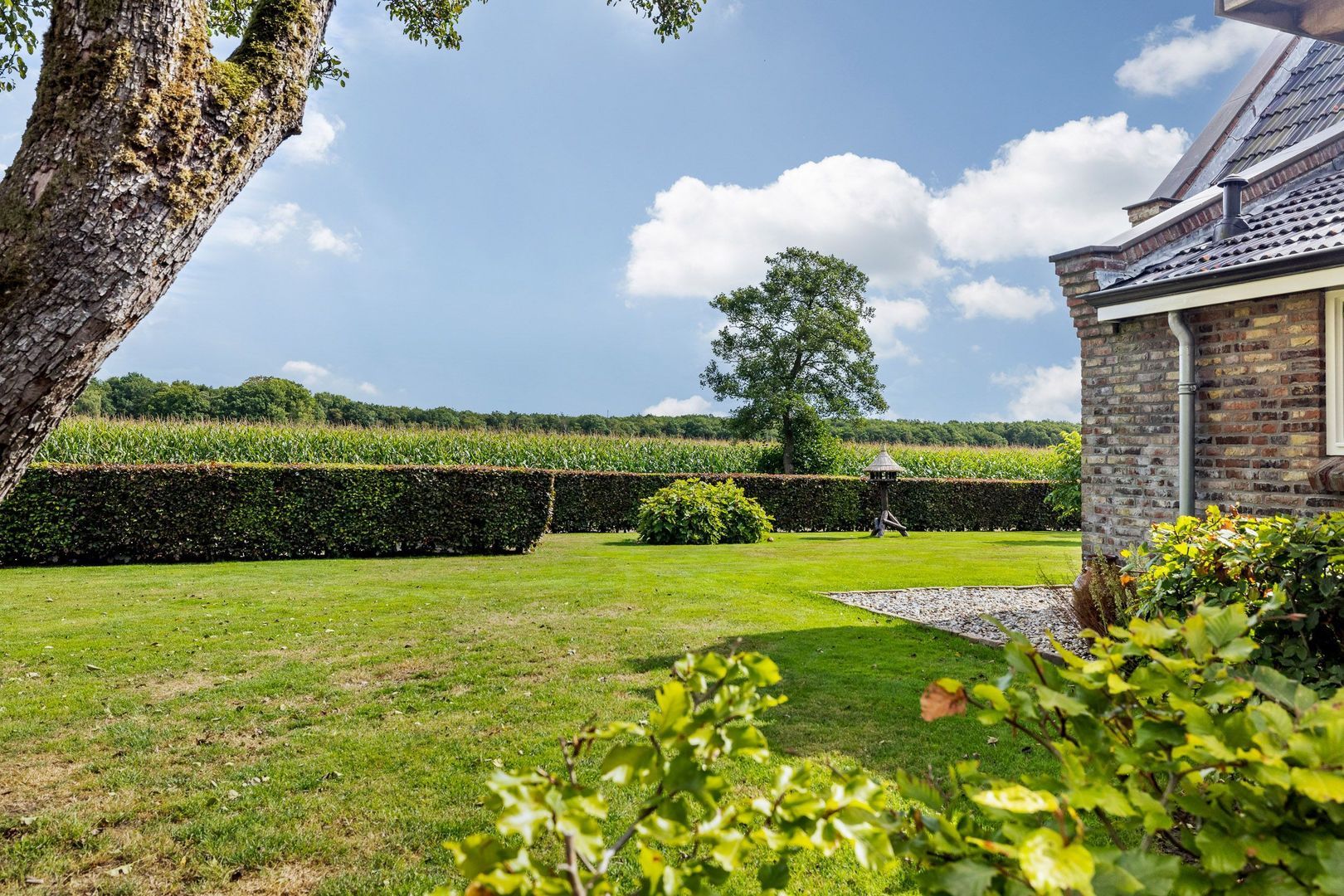 10e Wyk 4, Hoornsterzwaag foto-6