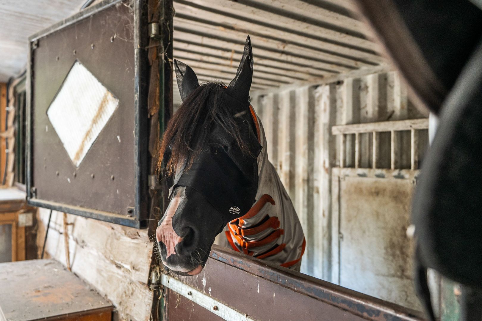 Leemweg 1, Steggerda foto-49