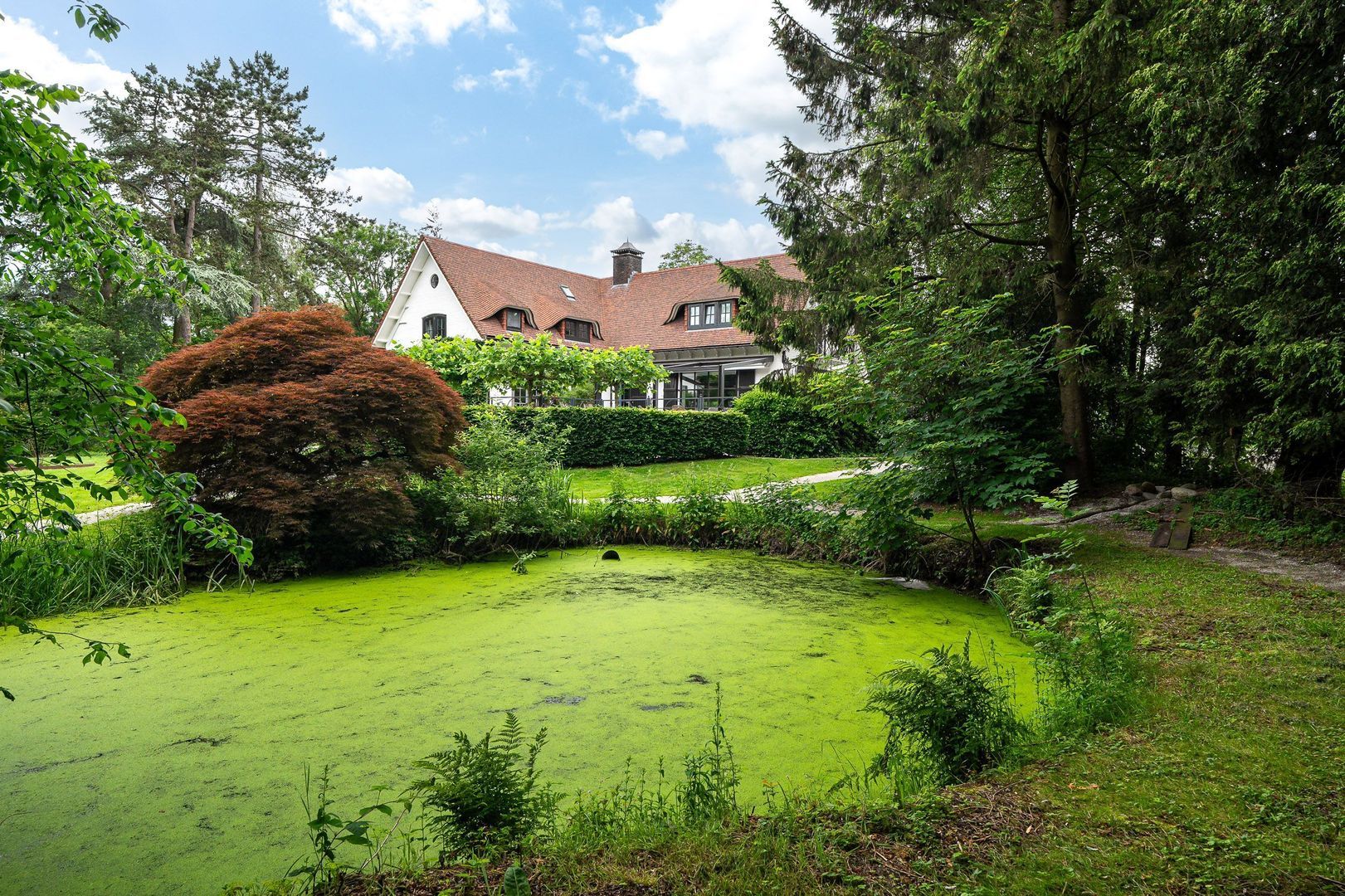 Hoge Zomerdijk 9, Joure foto-15