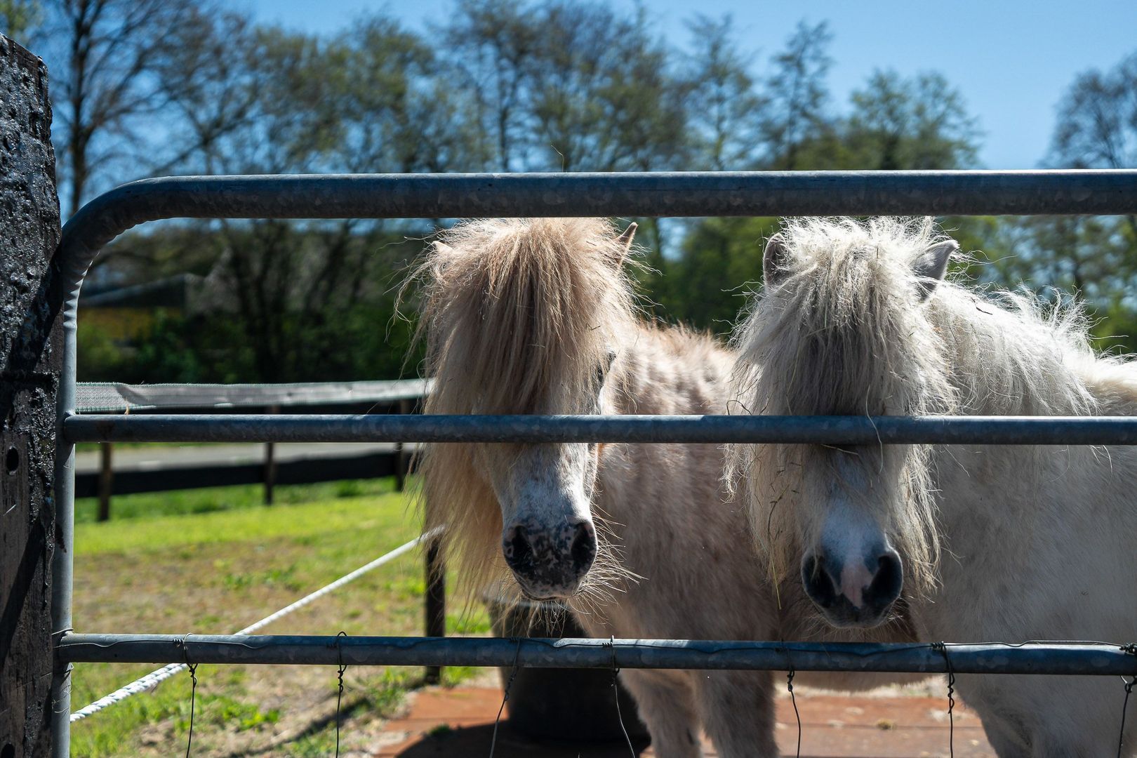 Heerenveenseweg 3 B, Oldeberkoop foto-50
