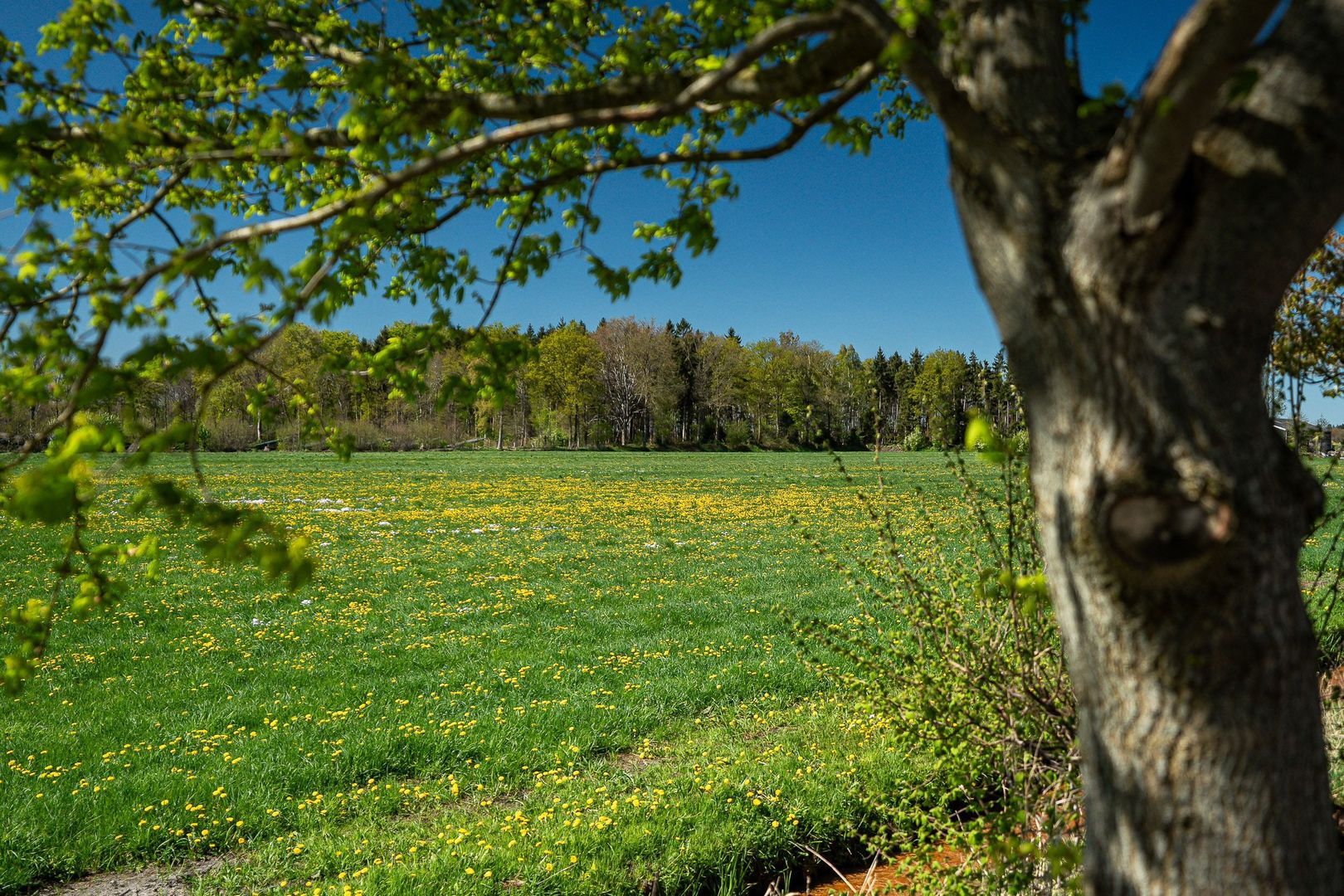 Heerenveenseweg 3 B, Oldeberkoop foto-47