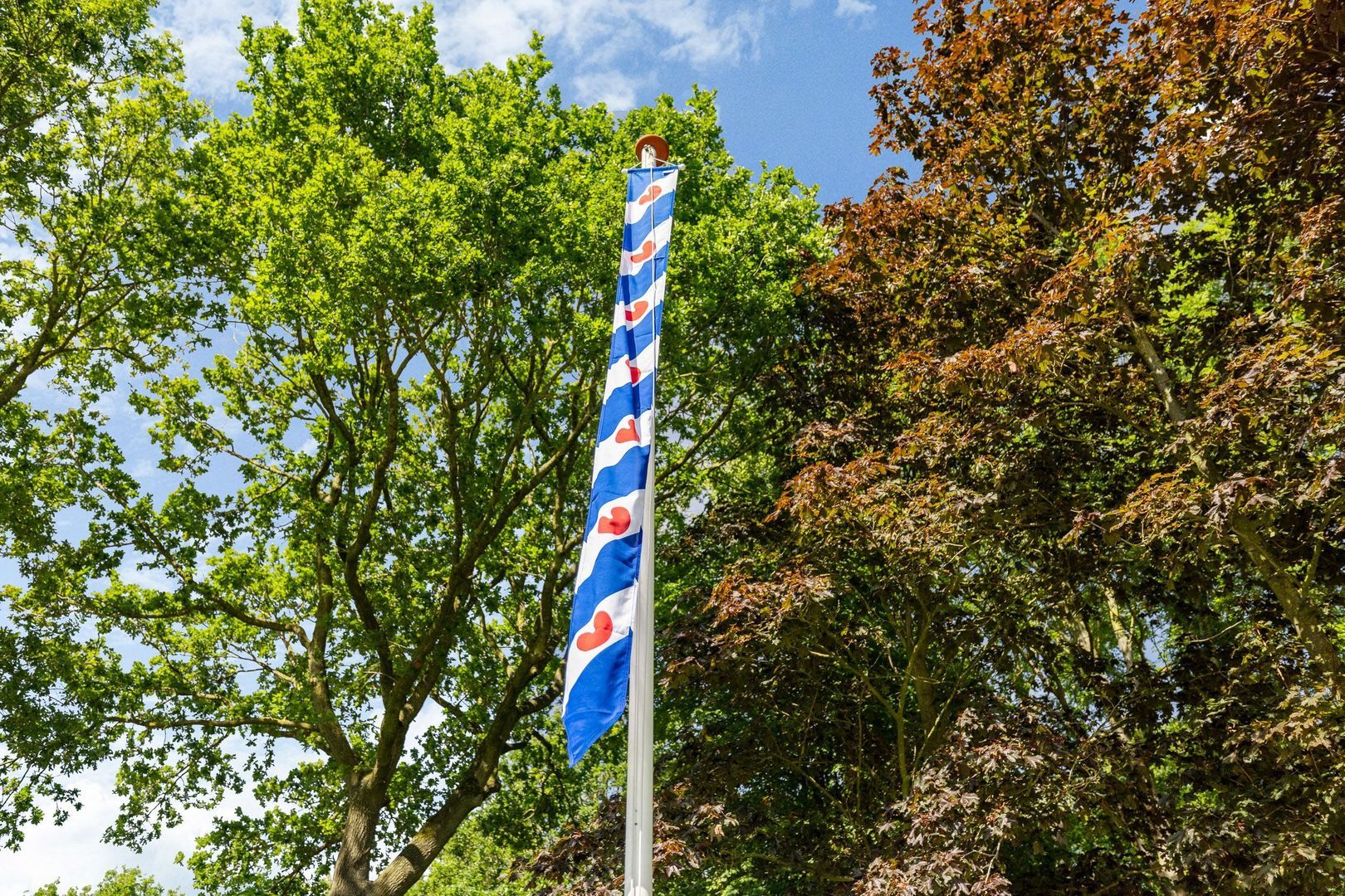 Idzardaweg 104, Ter Idzard foto-7