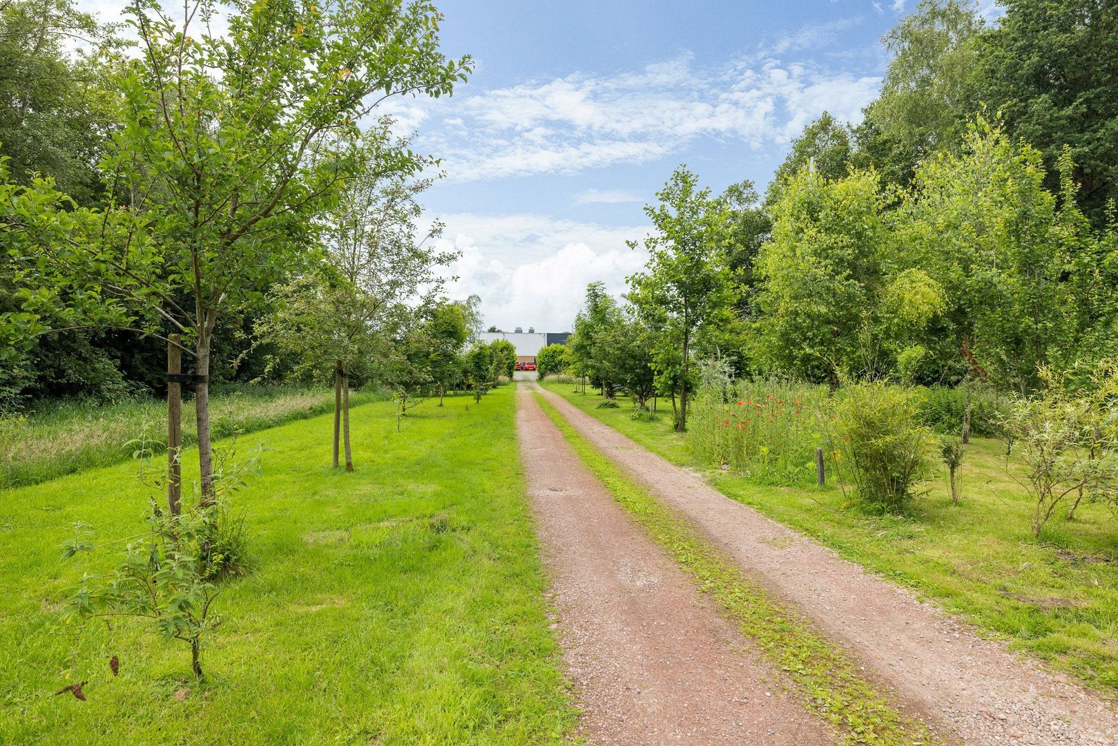 Leeuwarderstraatweg 146, Heerenveen foto-56