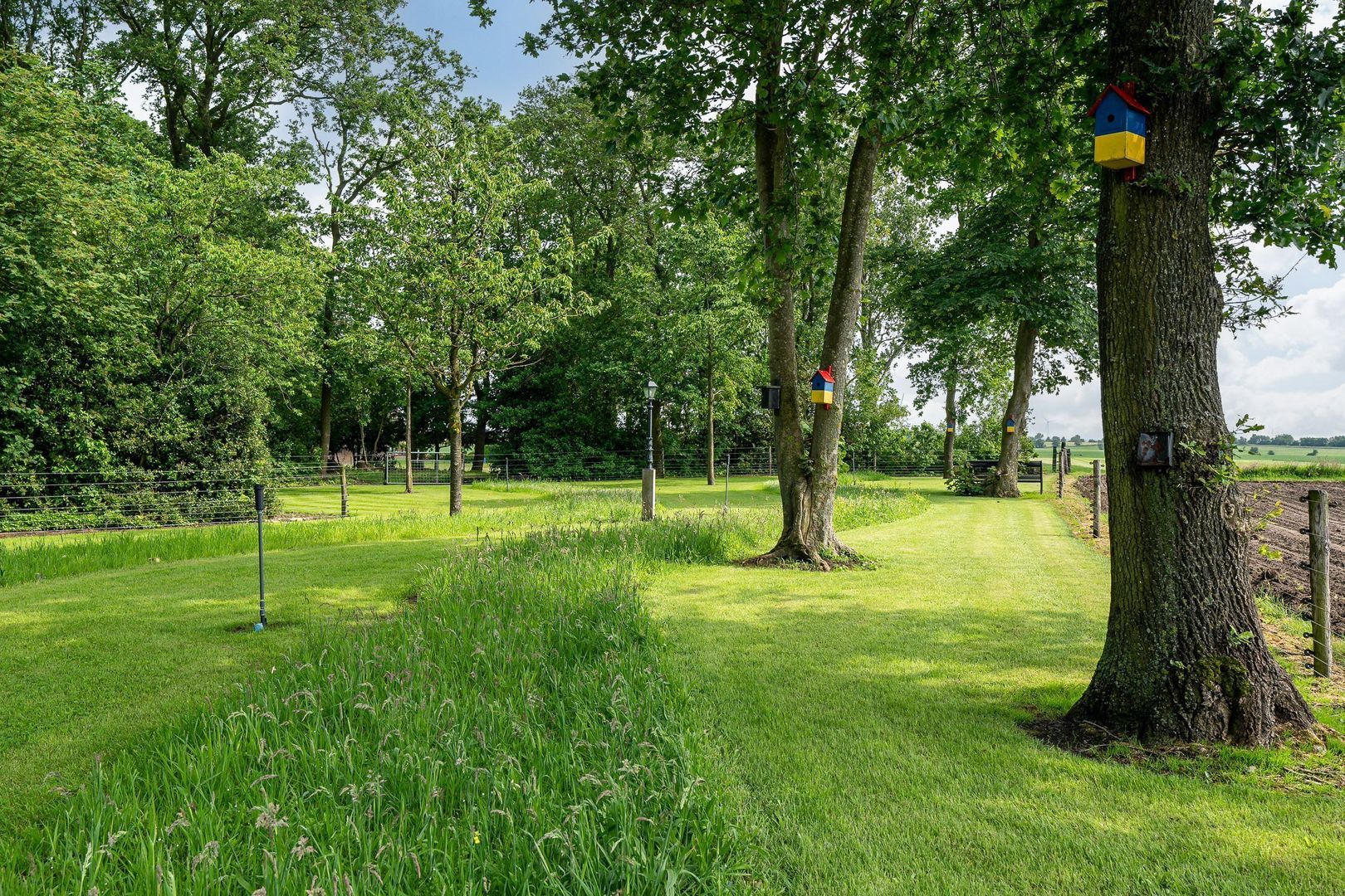 Star Numanwei 6, Oudemirdum foto-74