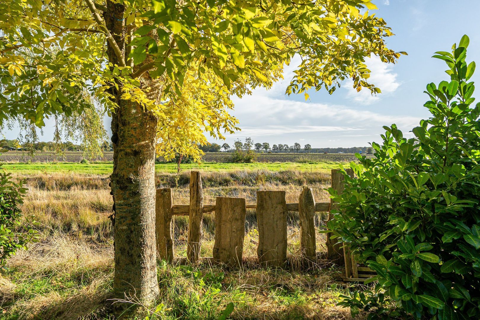 Benjamin Steegengastrjitte 10, Balk foto-61