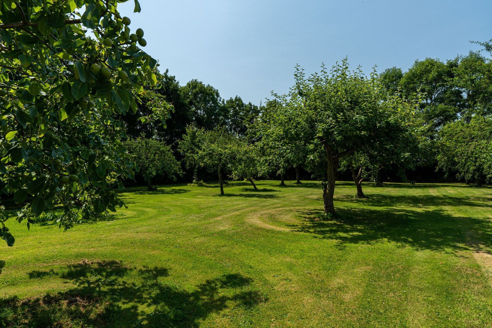 Hearewei 39, Tzummarum foto-59