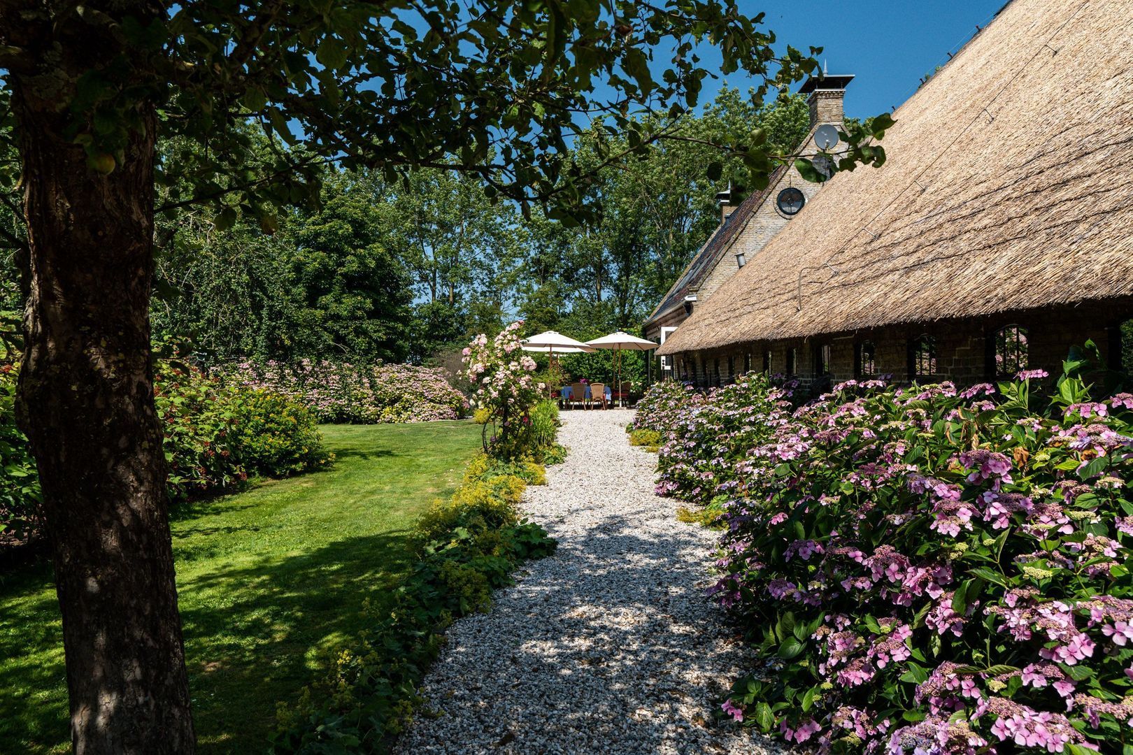 Hearewei 39, Tzummarum foto-45