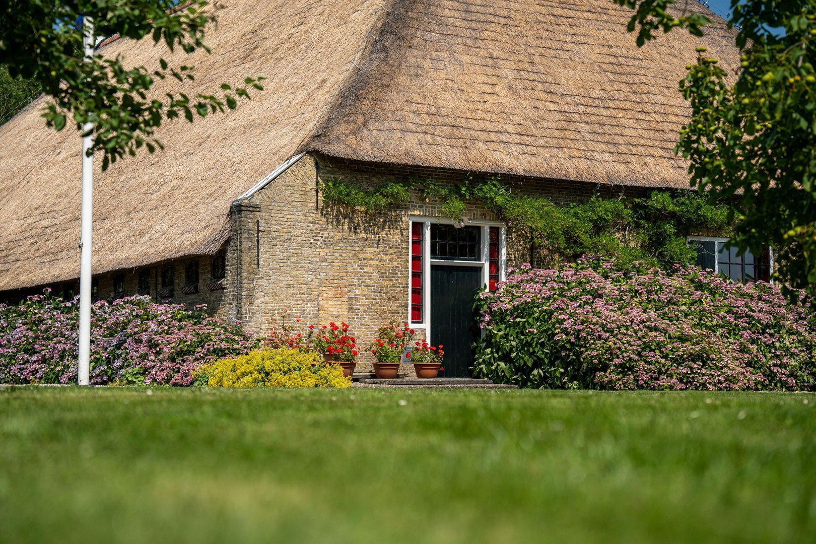 Hearewei 39, Tzummarum foto-57