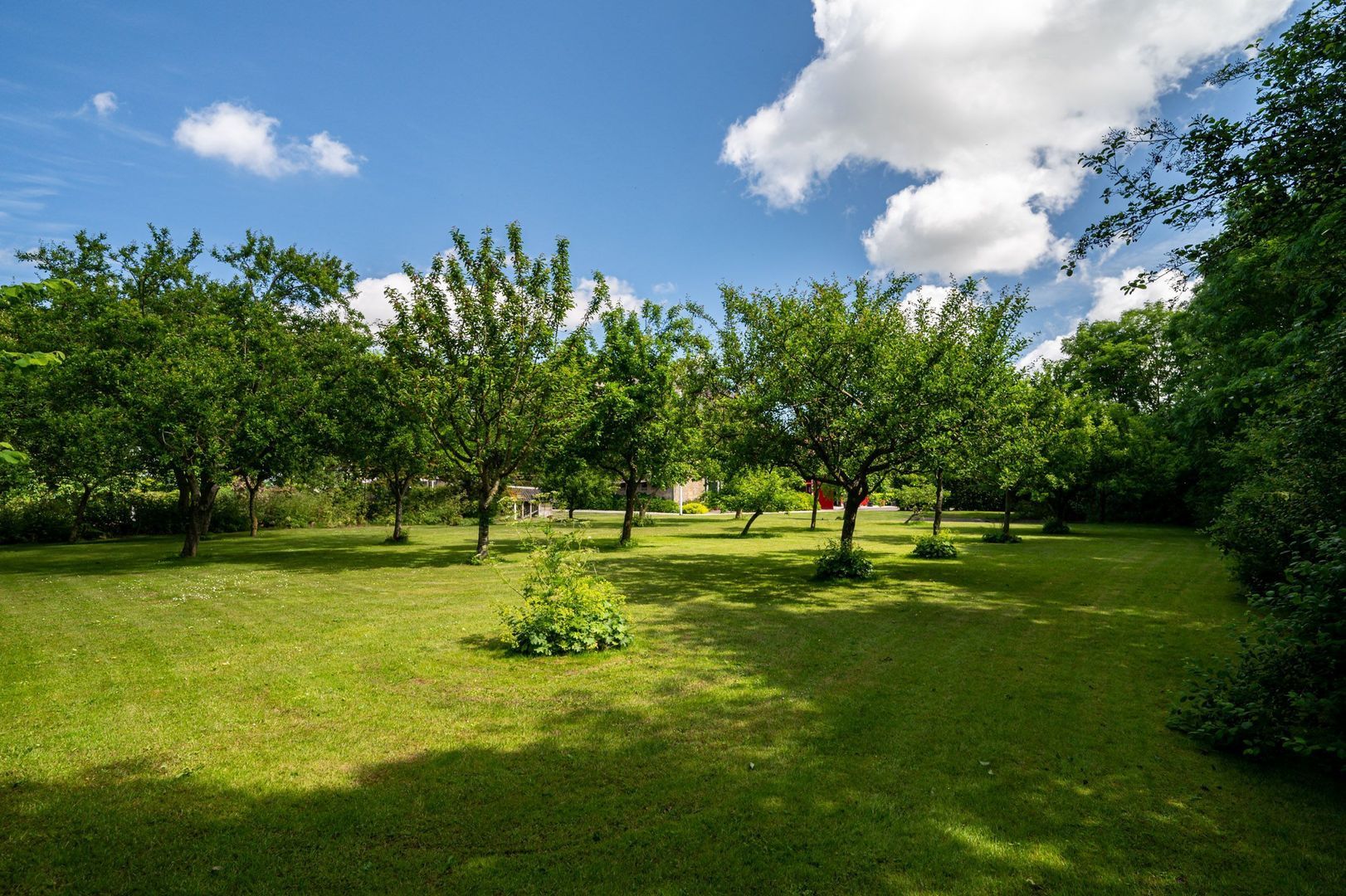 Hearewei 39, Tzummarum foto-12