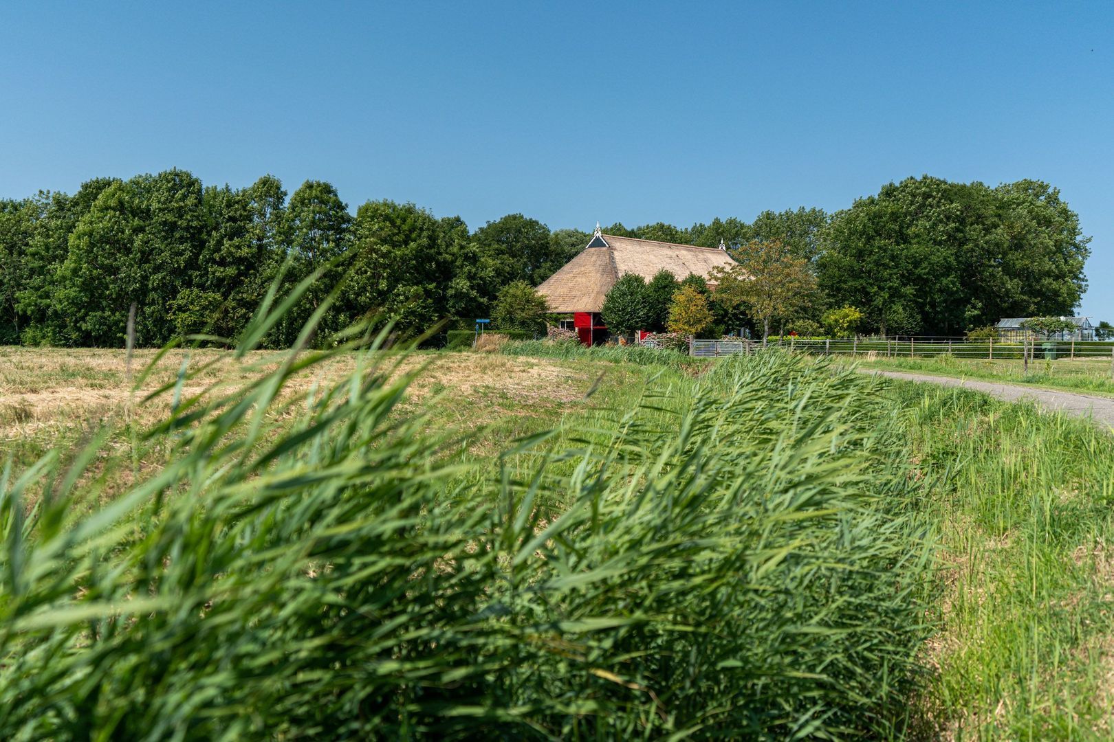 Hearewei 39, Tzummarum foto-73