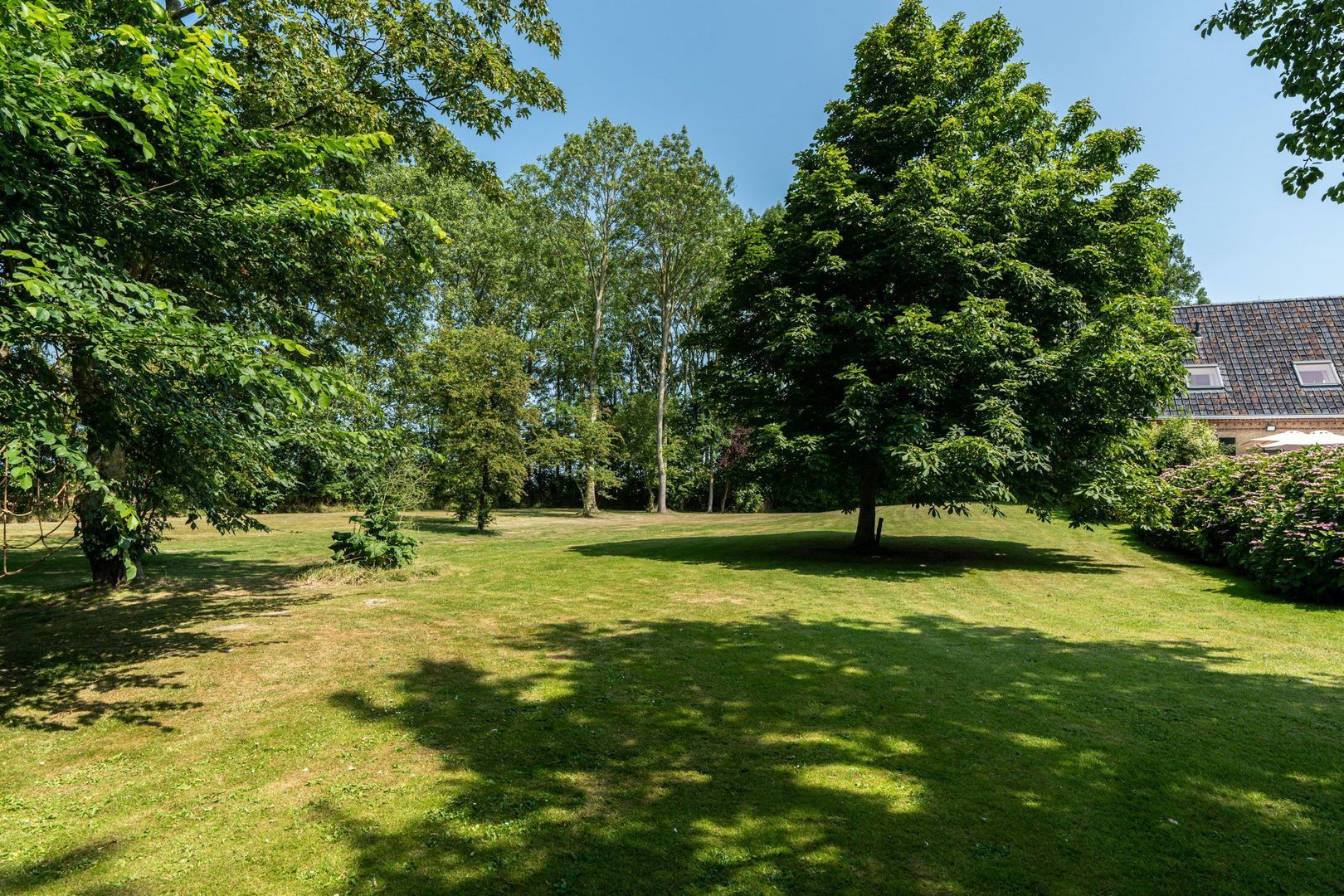 Hearewei 39, Tzummarum foto-78