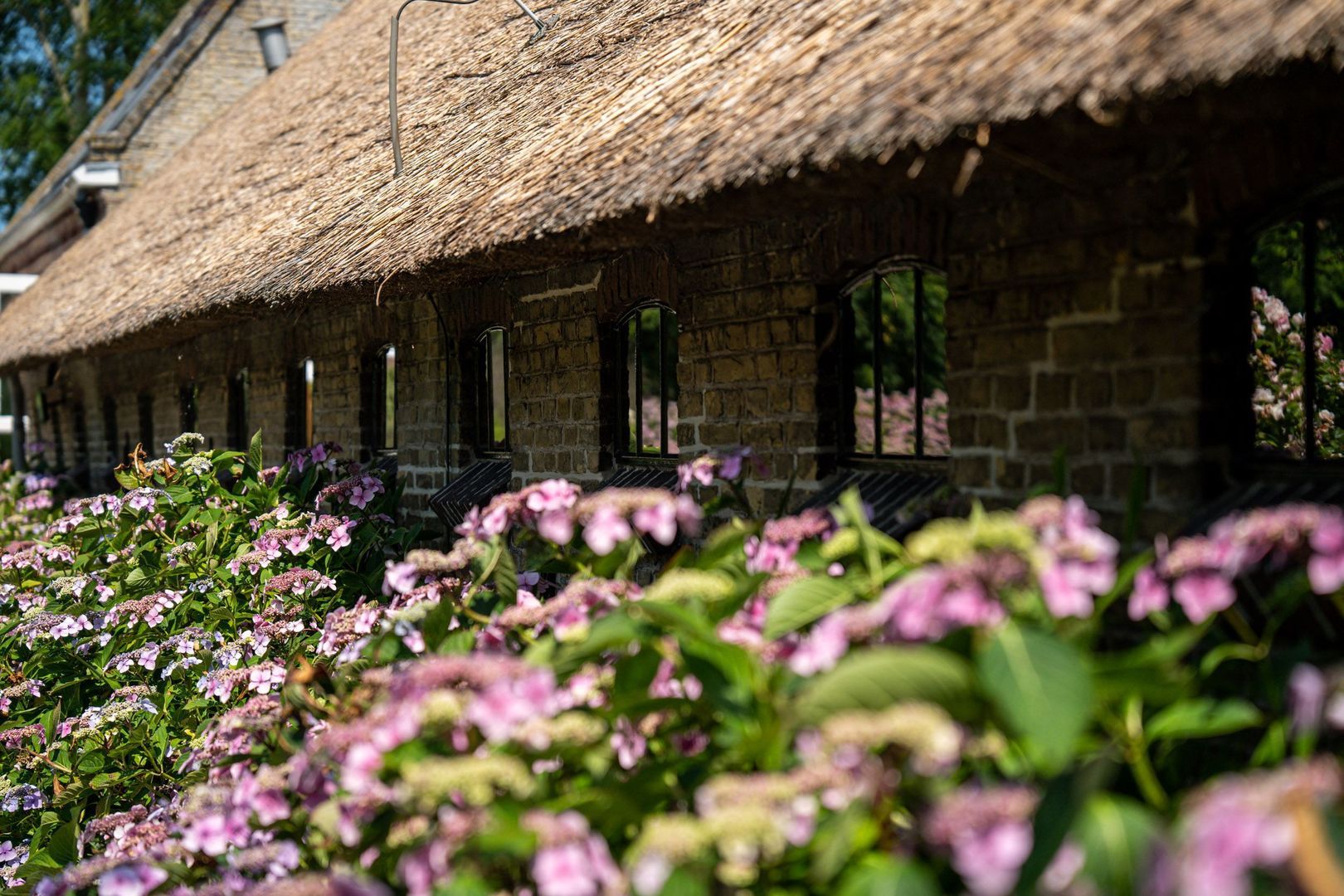 Hearewei 39, Tzummarum foto-55