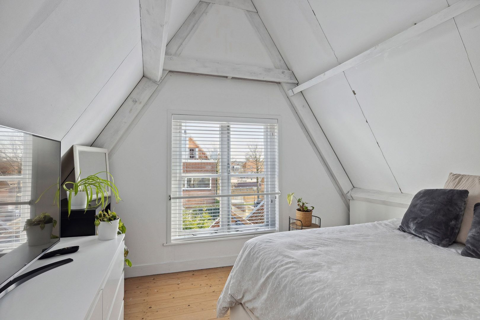 Godsacker 20, Franeker foto-45