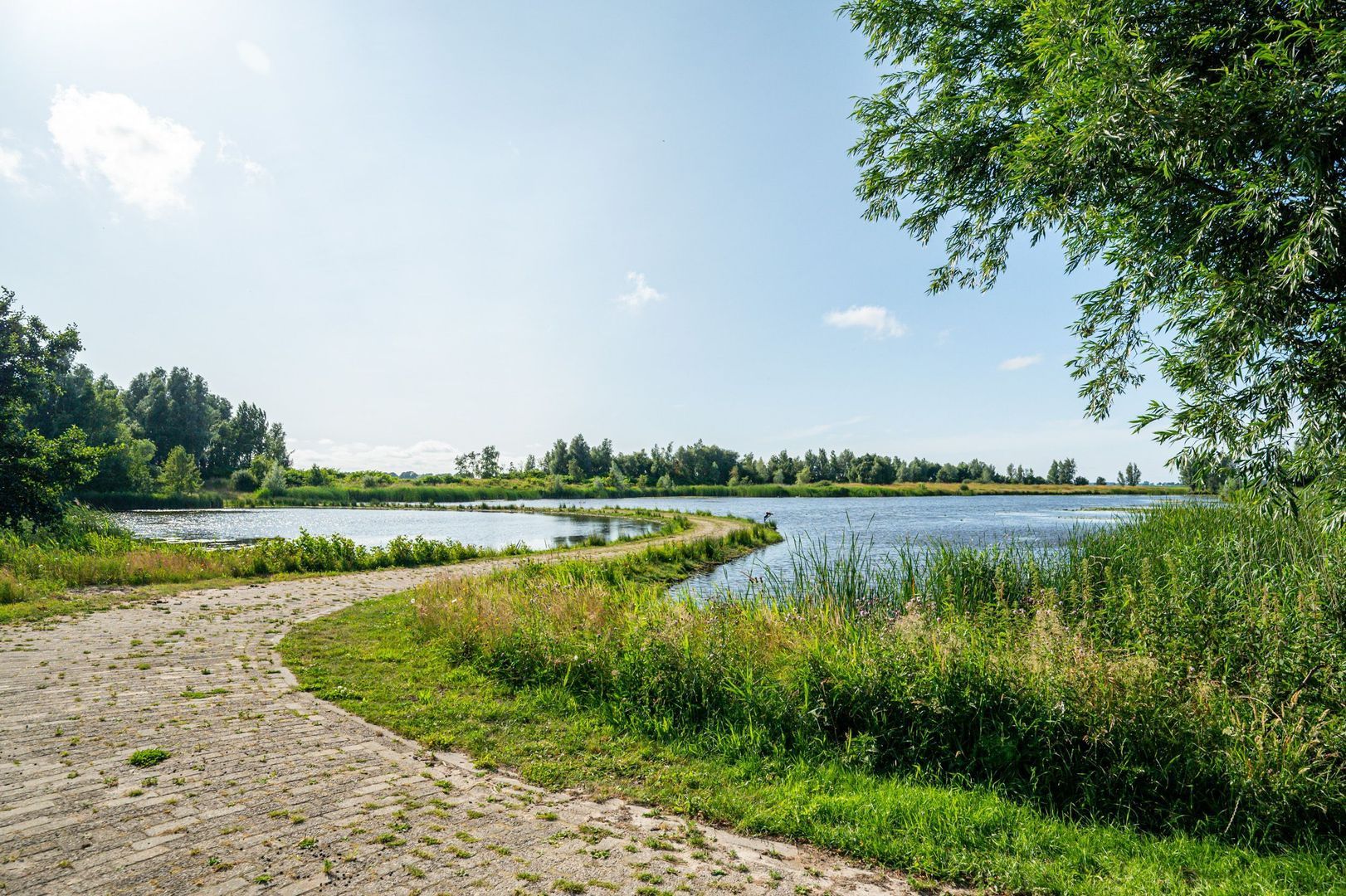 Wieldyk 10, Mirns foto-48