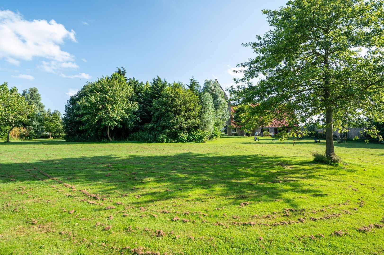 Wieldyk 10, Mirns foto-49