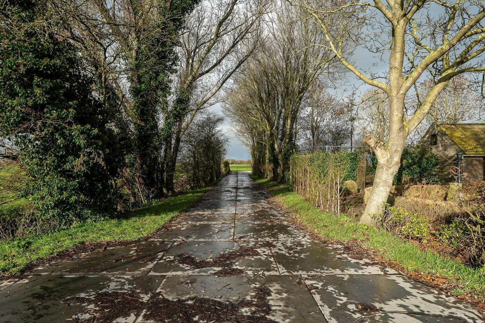 Salverderweg 71, Franeker foto-63