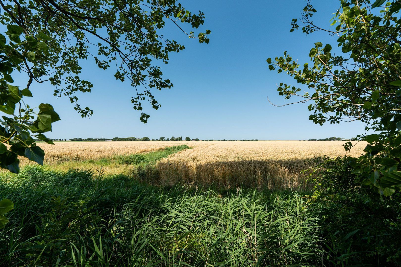 Hearewei 39, Tzummarum foto-75