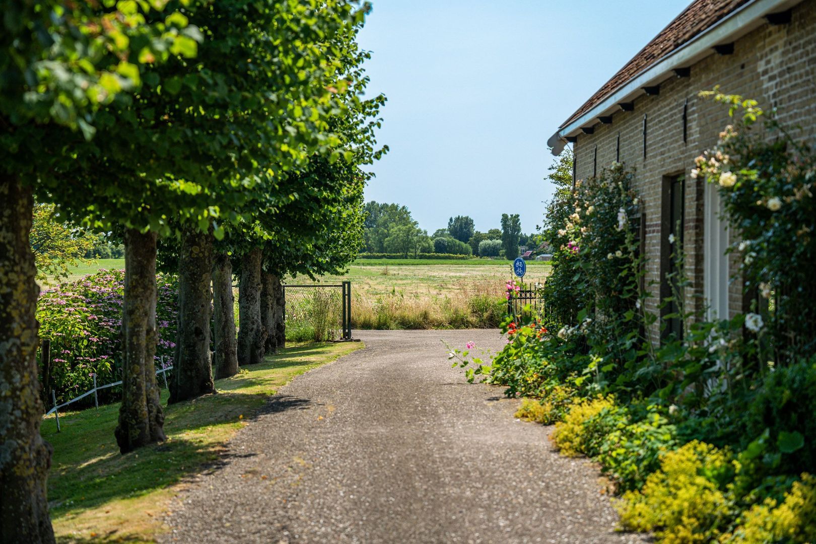 Hearewei 39, Tzummarum foto-70