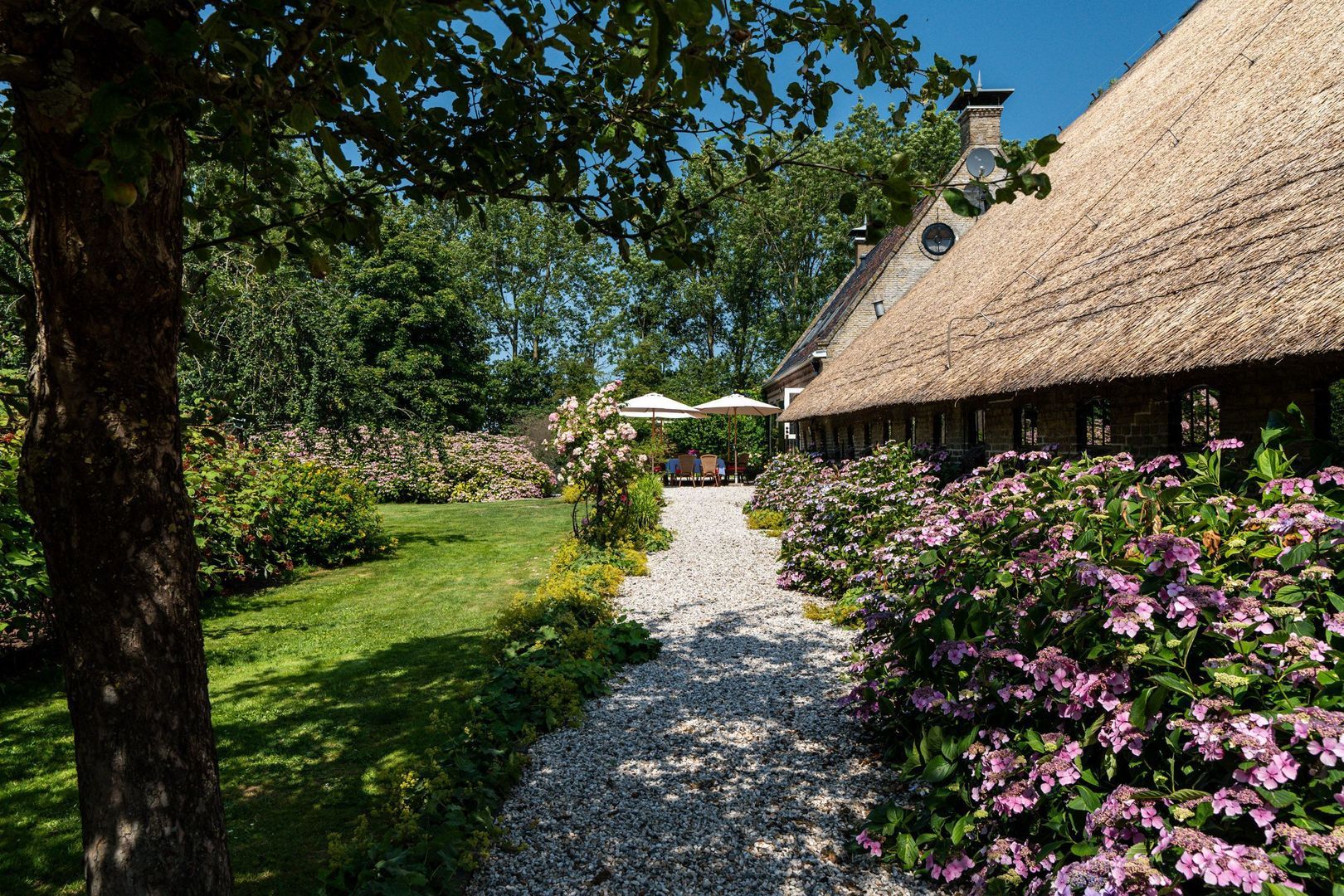 Hearewei 39, Tzummarum foto-45