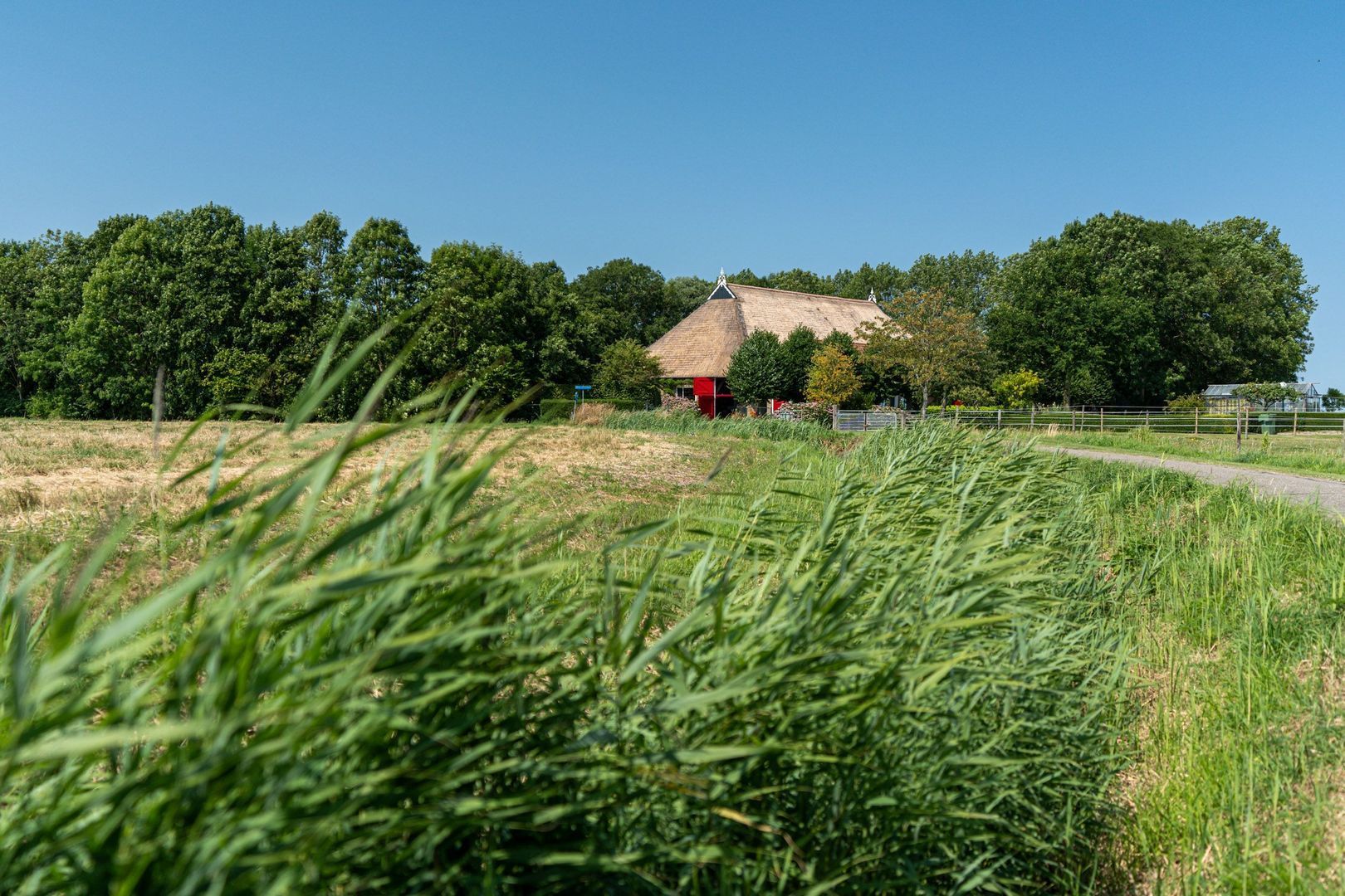 Hearewei 39, Tzummarum foto-73