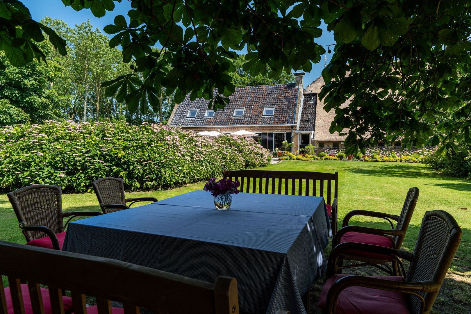 Hearewei 39, Tzummarum foto-44