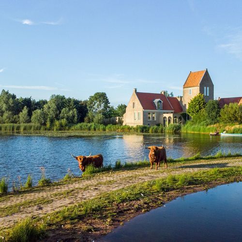 Wieldyk 10, Mirns foto-1