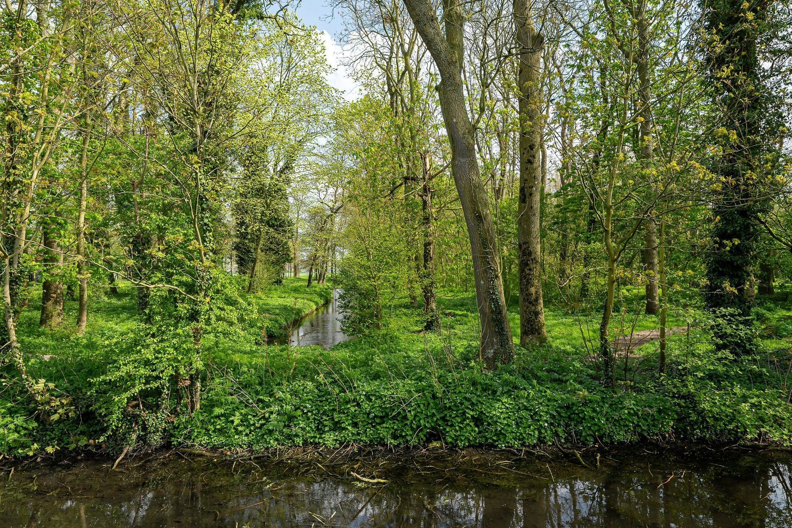 De Finne 7, Ysbrechtum foto-64