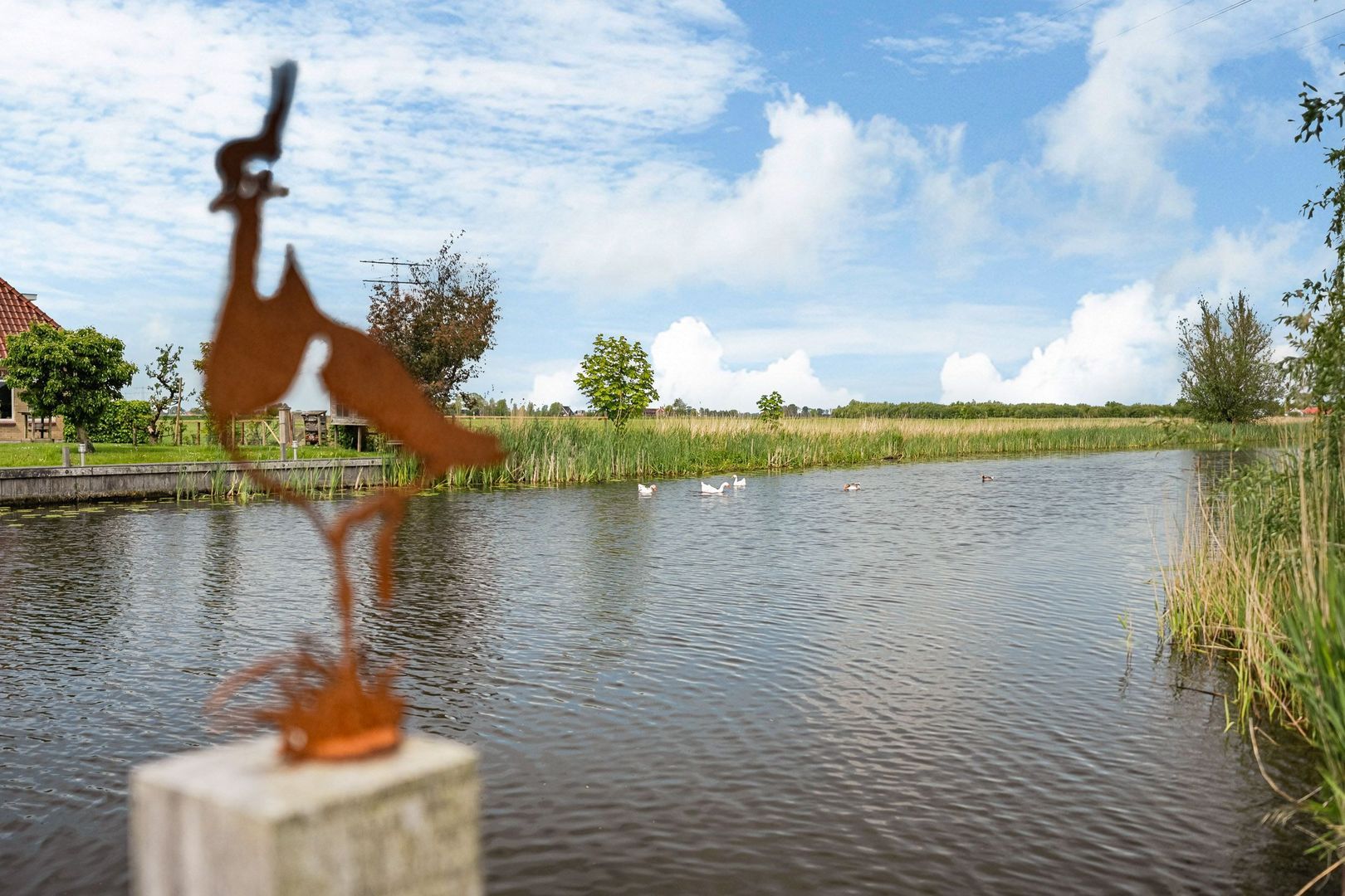 Tolhûsdyk 11, Sneek foto-46