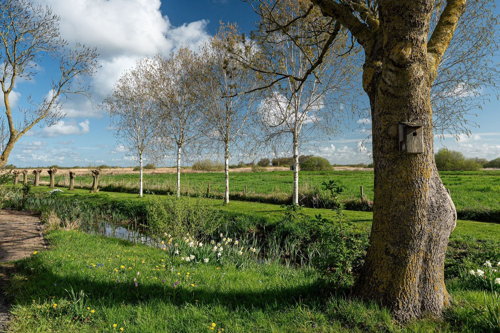 Lindedijk 7, Nijetrijne foto-56