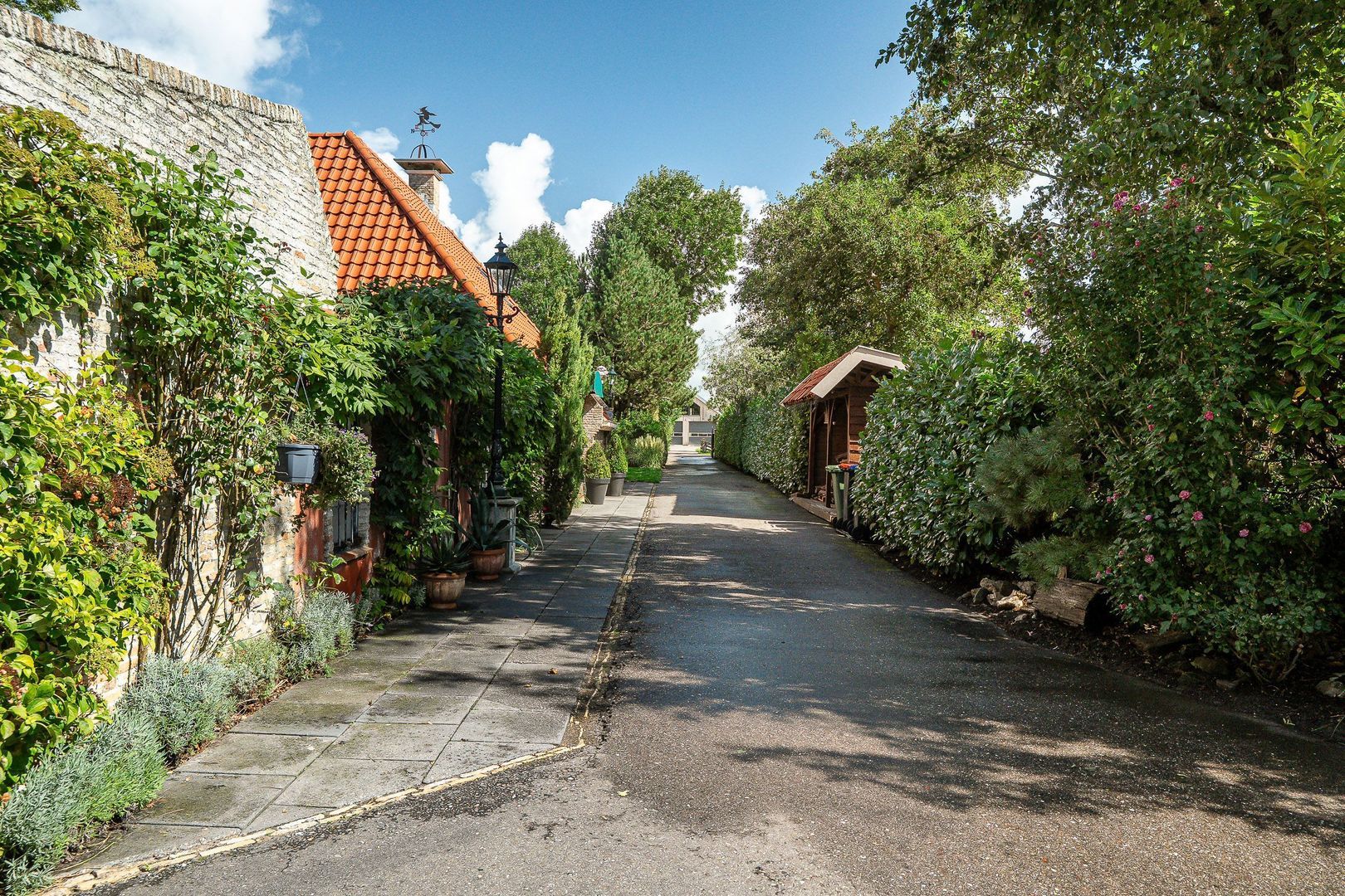 Papeleantsje 2, Workum foto-75