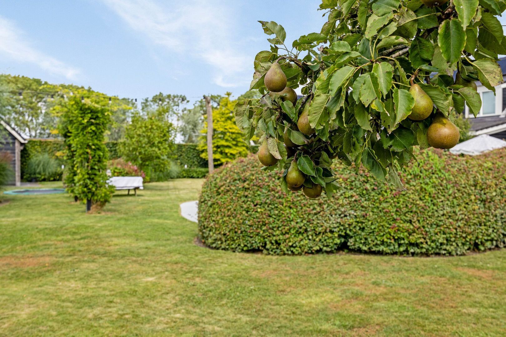 Wielblok 5, Herpt foto-42