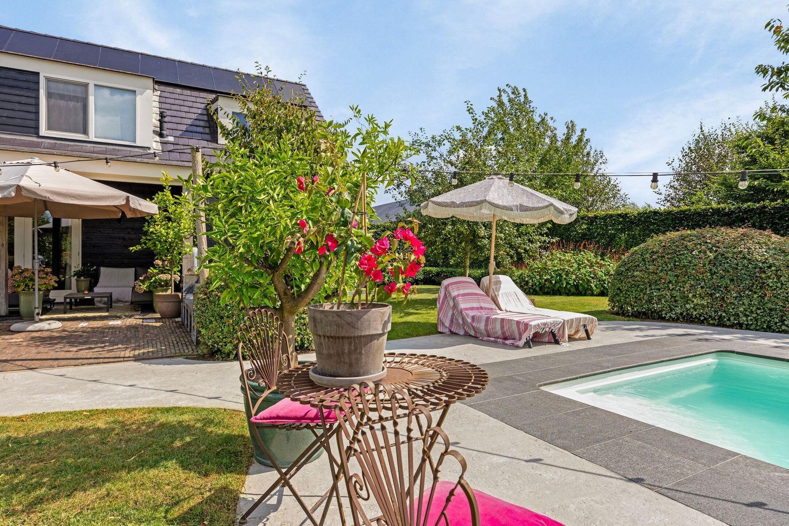 Wielblok 5, Herpt foto-25