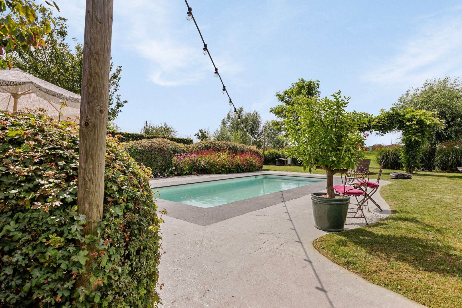 Wielblok 5, Herpt foto-24