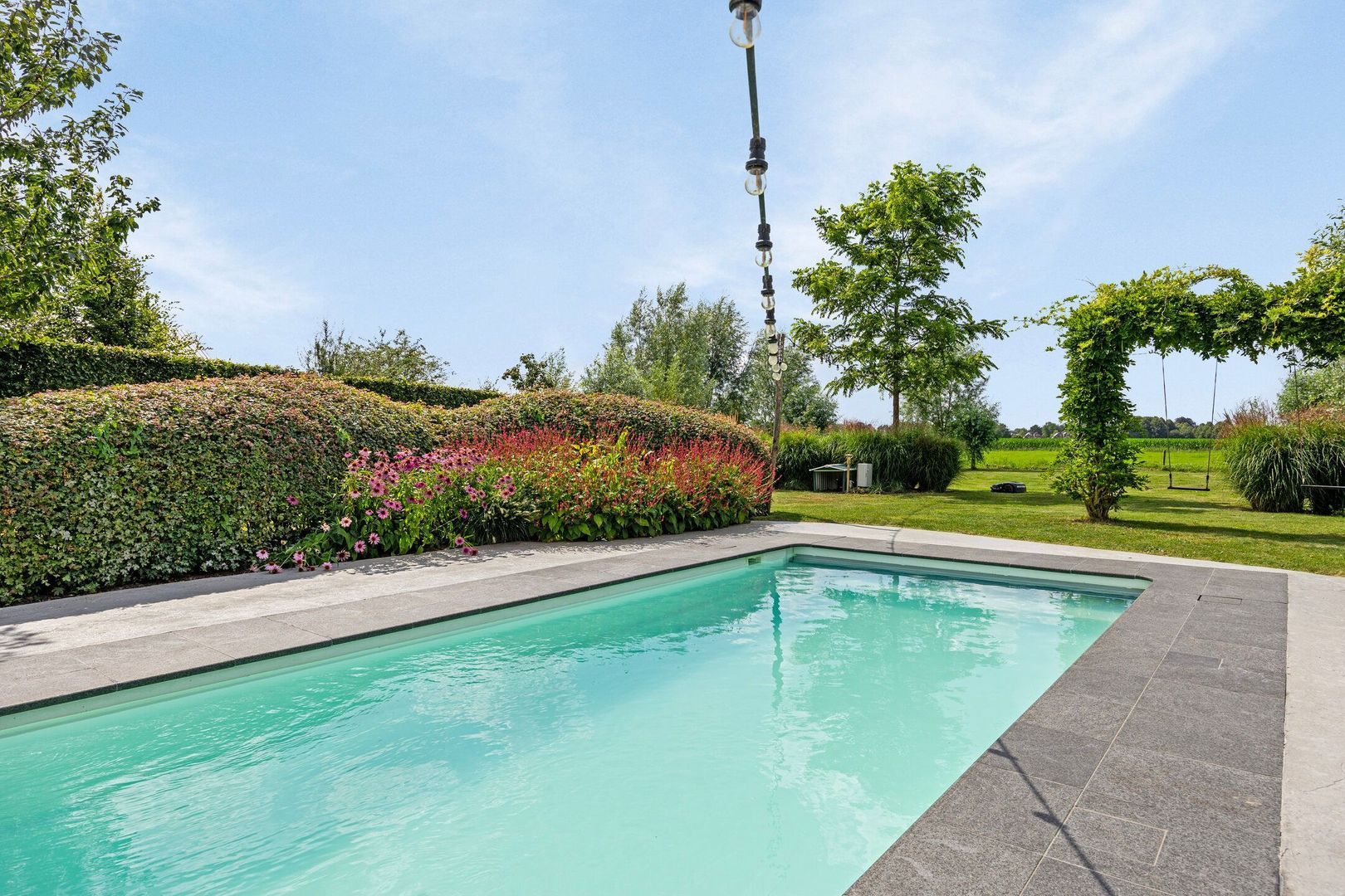 Wielblok 5, Herpt foto-26