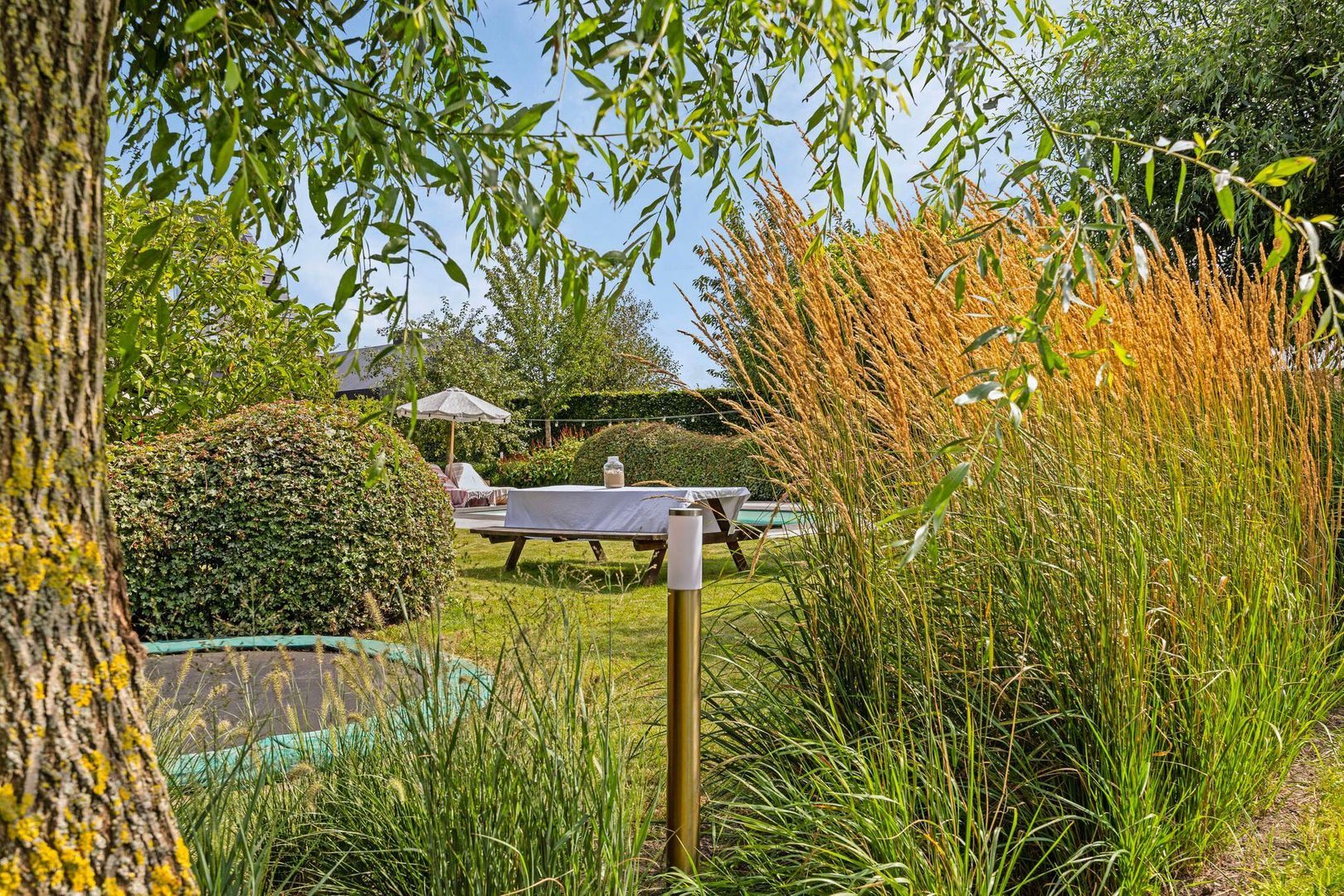 Wielblok 5, Herpt foto-40