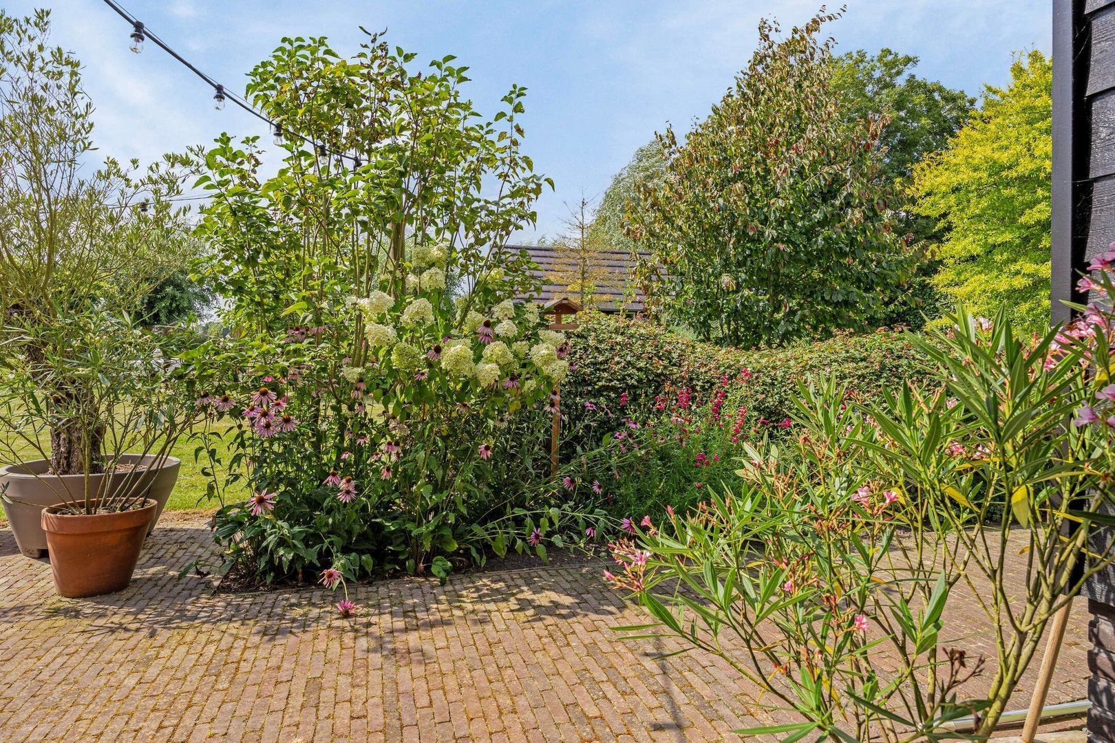 Wielblok 5, Herpt foto-45