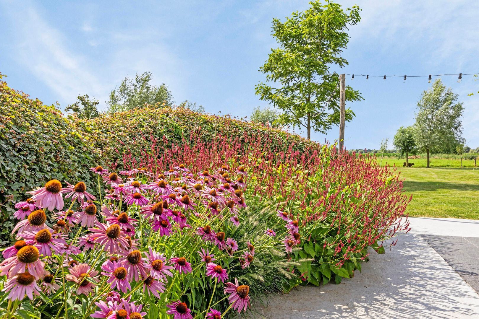 Wielblok 5, Herpt foto-31