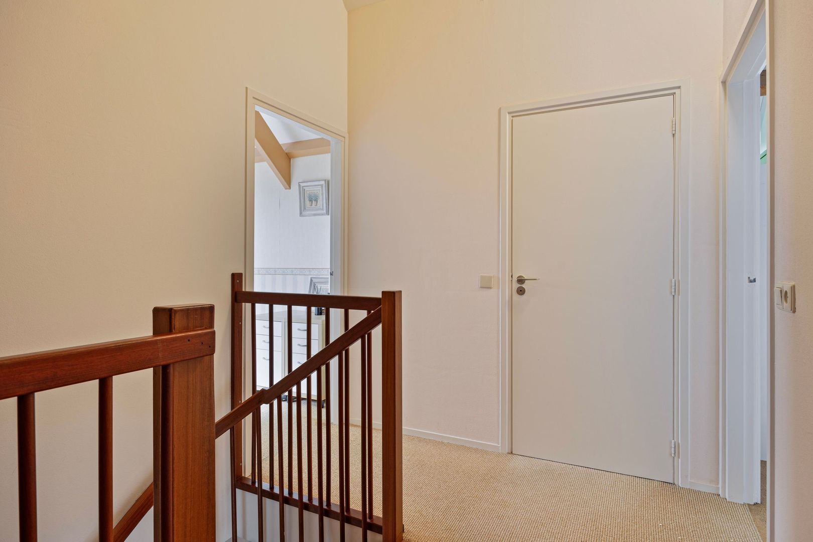 Braziliëlaan 13, Drunen foto-51