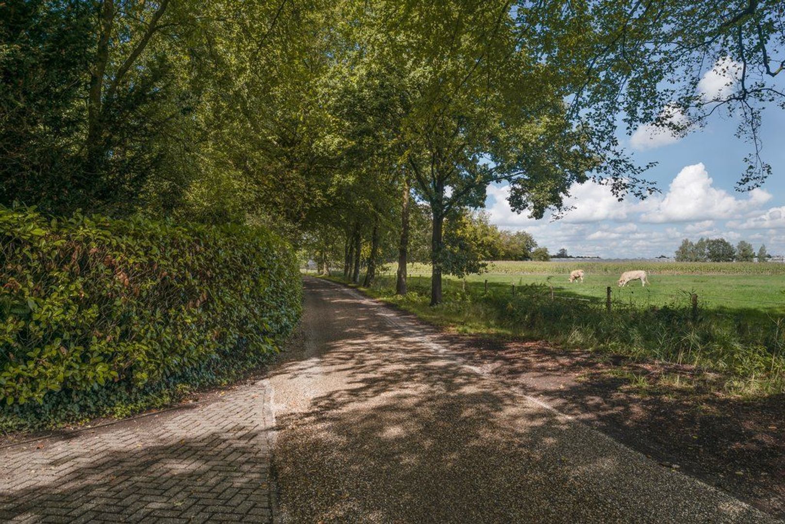 Eendekooi 12, Drunen foto-79