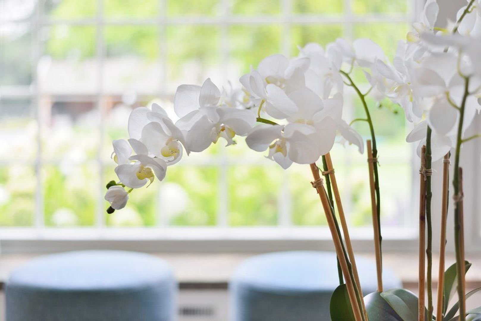 Eendekooi 12, Drunen foto-11