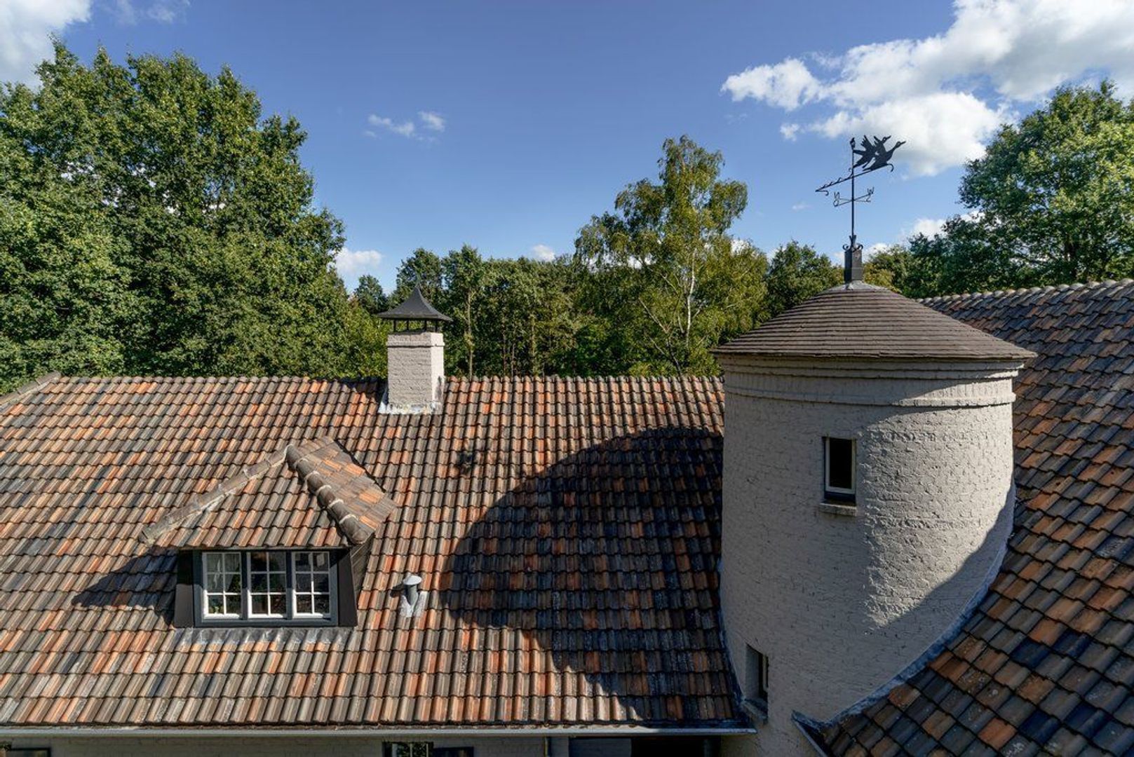 Eendekooi 12, Drunen foto-90