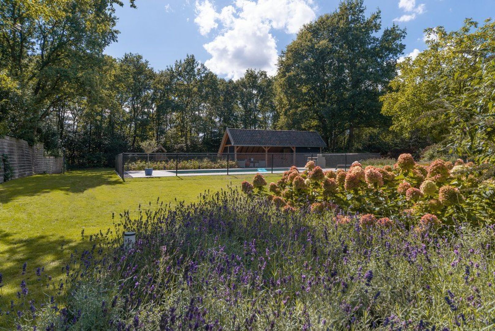 Eendekooi 12, Drunen foto-83