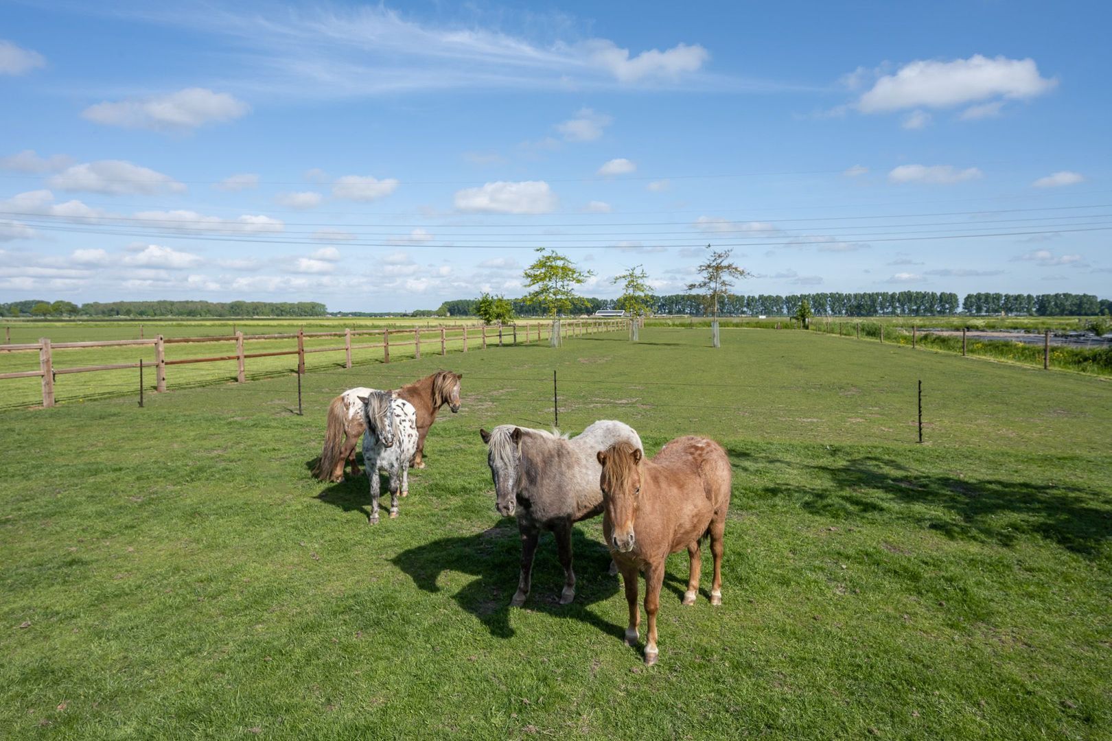De Hoeven 60 E, Haarsteeg foto-16