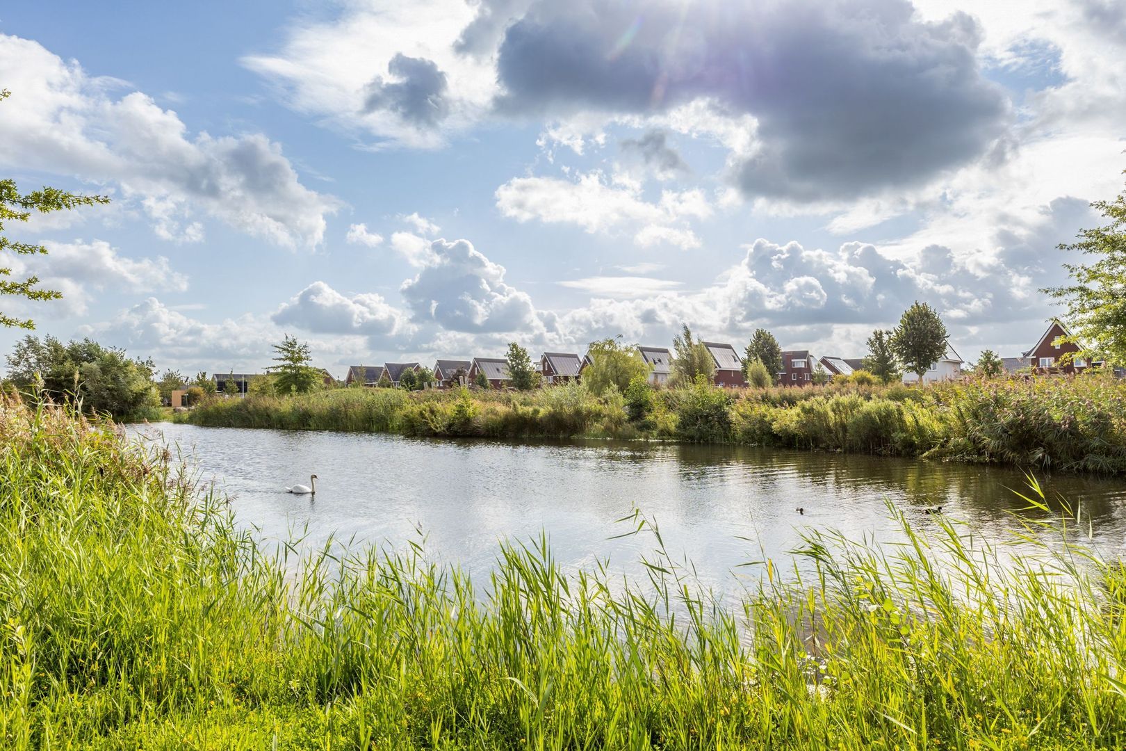 Ruisvoorn 6, Vlijmen foto-50