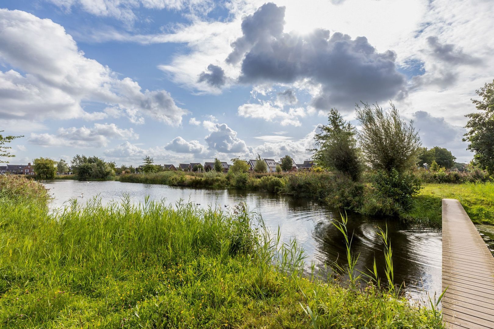 Ruisvoorn 6, Vlijmen foto-49