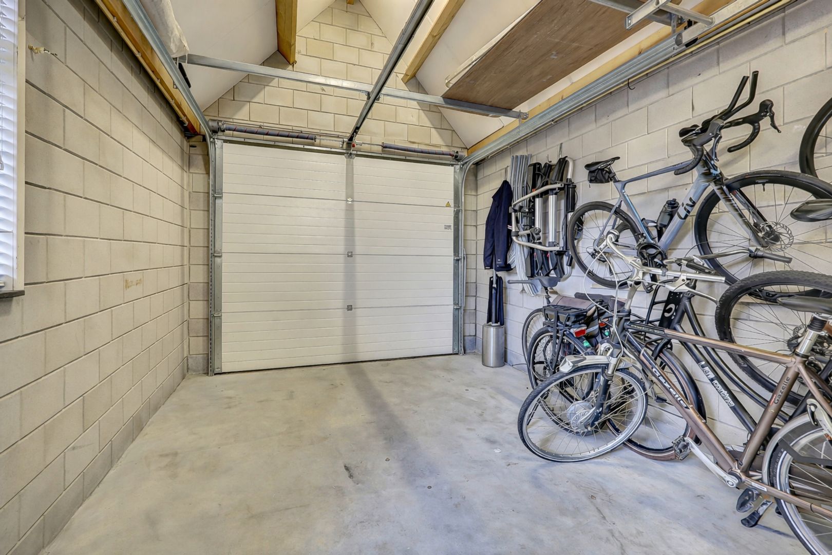 Zilverkarper 4, Vlijmen foto-54