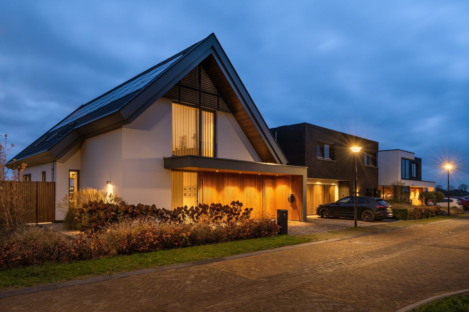 Zilverkarper 13, Vlijmen foto-1