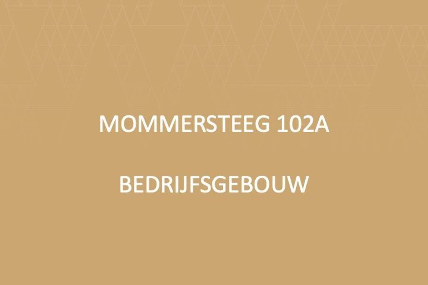 Mommersteeg 102, Haarsteeg foto-41